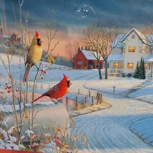 Country Cardinals 1000 Piece Eurographics Puzzle by Sam Timm Complete NEW READ